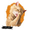 LaPerm Kitten Licking Paw Portrait Fabric Panel - ineedfabric.com