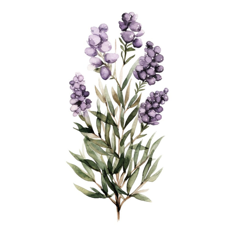 Lavender Plant Fabric Panel - ineedfabric.com