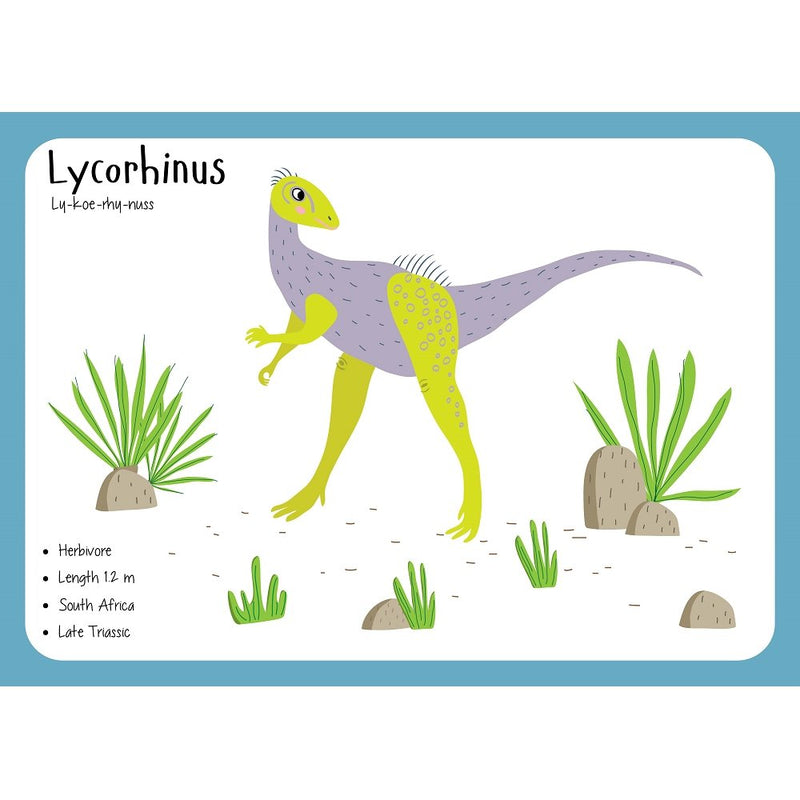 Lycorhinus Flash Card Fabric Panel - ineedfabric.com