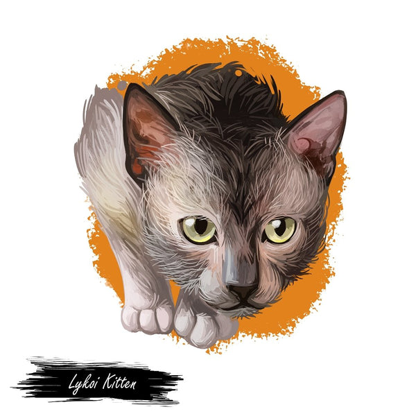 Lykoi Kitten Portrait Fabric Panel - ineedfabric.com