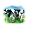 Milk Cow Illustration Fabric Panel - ineedfabric.com