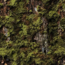 Moss on Tree Fabric - ineedfabric.com