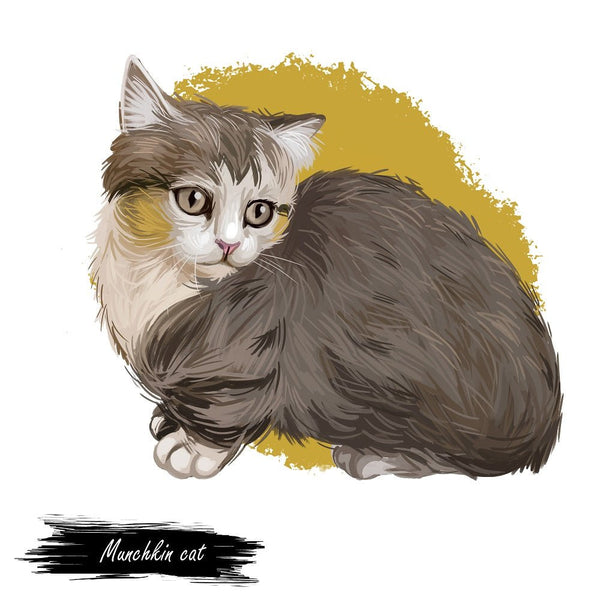 Munchkin Cat Portrait Fabric Panel - ineedfabric.com