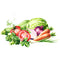 Organic Vegetables Fabric Panel - ineedfabric.com