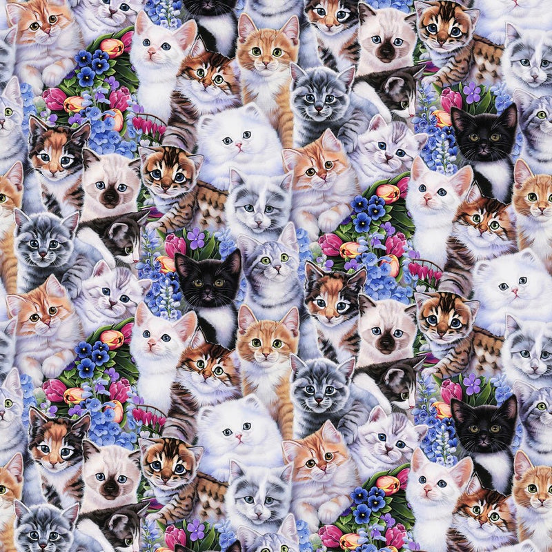Packed Kittens Fabric - ineedfabric.com