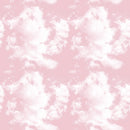 Pink Clouds 5 Fabric - ineedfabric.com