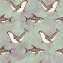 Pirate Adventure Whales Fabric - Antique Green - ineedfabric.com