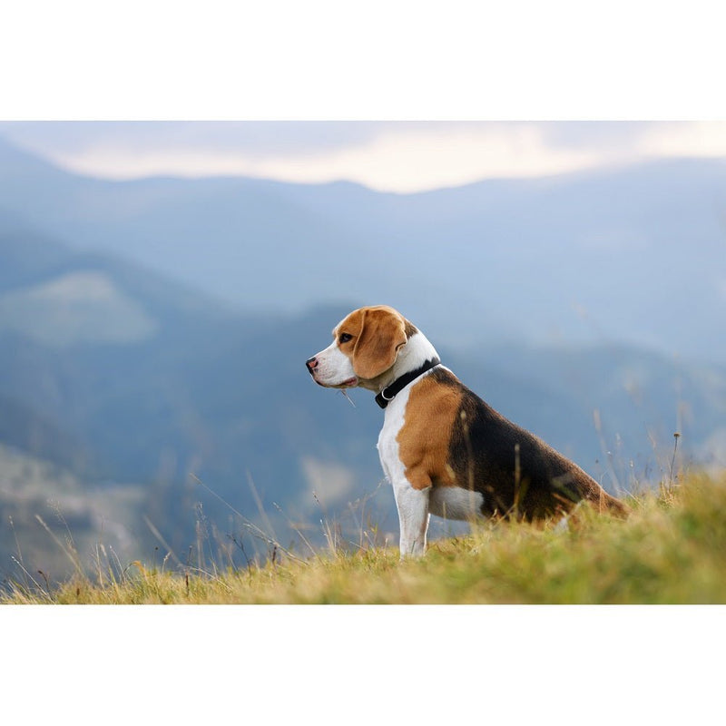 Realistic Beagle with Mountain Fabric Panel - ineedfabric.com