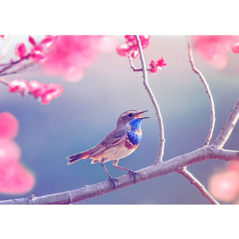 Realistic Bluethroat Bird Fabric Panel - ineedfabric.com