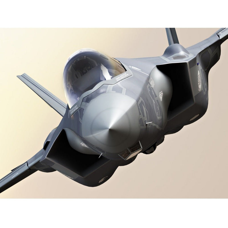 Realistic Close-Up F35 Fighter Jet Fabric Panel - ineedfabric.com