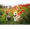 Realistic Dog and Cat with Poppies Fabric Panel - ineedfabric.com