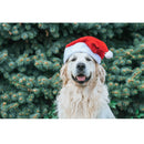 Realistic Dog in Santa Hat Near Fir Trees Fabric Panel - ineedfabric.com