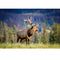 Realistic Elk in Forest Fabric Panel - ineedfabric.com