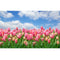 Realistic Field of Pink Tulips Fabric Panel - ineedfabric.com