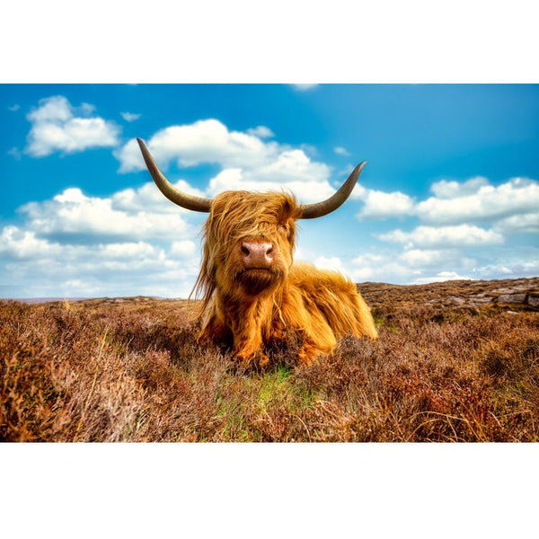 Realistic Highland Cow in the Highlands Fabric Panel - ineedfabric.com