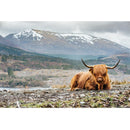 Realistic Highland Cow Lying Down Fabric Panel - ineedfabric.com