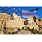 Realistic Patriotic Mount Rushmore Fabric Panel - ineedfabric.com