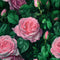 Realistic Roses Flowers Fabric - ineedfabric.com