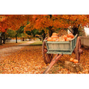 Realistic Scenic Fall Pumpkins Fabric Panel - ineedfabric.com