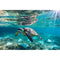 Realistic Sea Turtle in Ocean Fabric Panel - ineedfabric.com