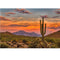 Realistic Sonoran Desert Scene Fabric Panel - ineedfabric.com