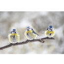 Realistic Three Blue Tits in Tree Fabric Panel - ineedfabric.com