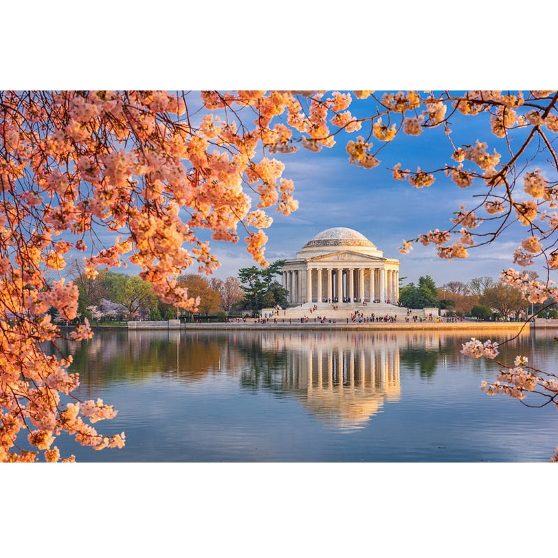 Realistic Tidal Basin & Jefferson Memorial Fabric Panel - ineedfabric.com