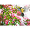 Realistic Tit in Blooming Apple Tree Fabric Panel - ineedfabric.com