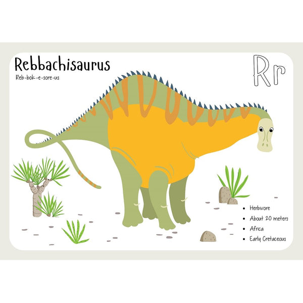 Rebbachisaurus Flash Card Fabric Panel - ineedfabric.com