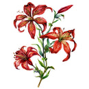 Red Wood Lily Watercolor Fabric Panel - ineedfabric.com