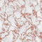 Rose Gold Marble 4 Fabric - ineedfabric.com
