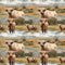 Scottish Highland Cows 17 Fabric - ineedfabric.com