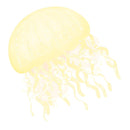 Sea Jellyfish Tan Fabric Panel - ineedfabric.com