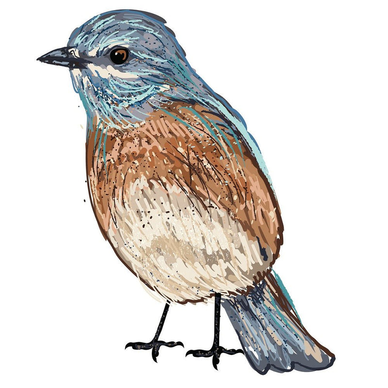 Sketched Eastern Bluebird Fabric Panel - ineedfabric.com