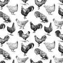 Sketched Rooster & Hen Fabric - ineedfabric.com