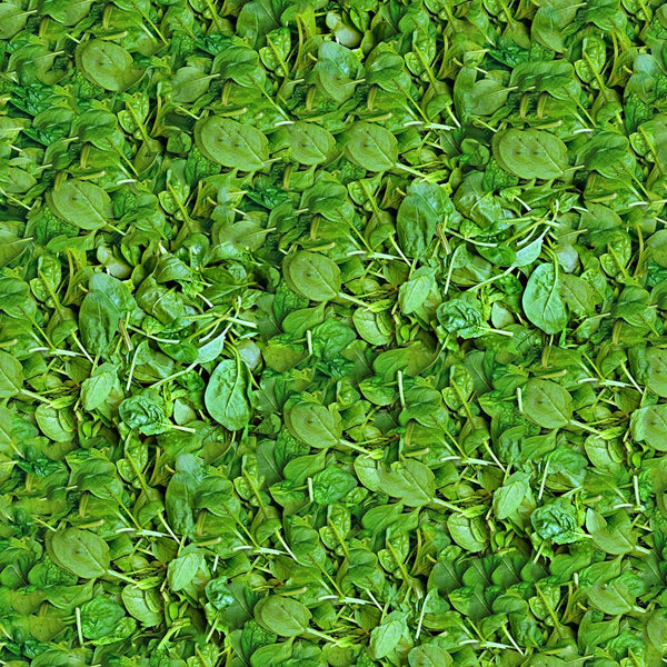 Spinach Fabric - ineedfabric.com