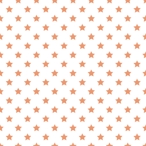Stars Basics Fabric - Copper River on White - ineedfabric.com