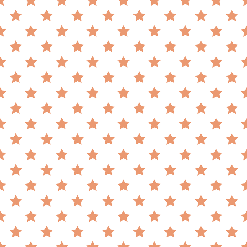 Stars Basics Fabric - Copper River on White - ineedfabric.com