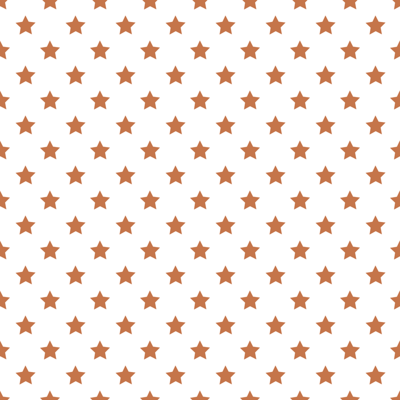 Stars Basics Fabric - Sienna on White - ineedfabric.com