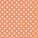 Stars Basics Fabric - White on Copper River - ineedfabric.com