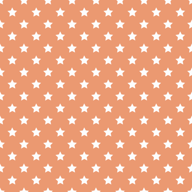 Stars Basics Fabric - White on Copper River - ineedfabric.com