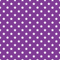 Stars Basics Fabric - White on Grape - ineedfabric.com