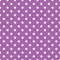 Stars Basics Fabric - White on Soft Purple - ineedfabric.com