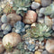 Succulents & Cacti Pattern 2 Fabric - ineedfabric.com