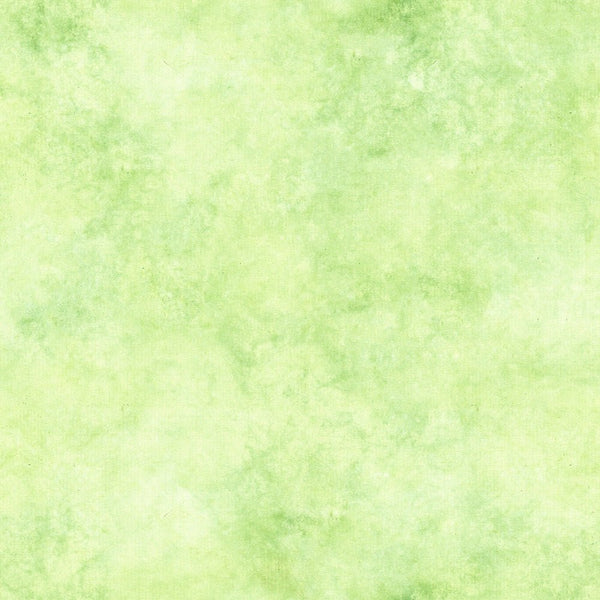 Summer Charm 12 Blender Fabric - Green - ineedfabric.com