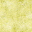 Summer Charm 17 Blender Fabric - Lime - ineedfabric.com