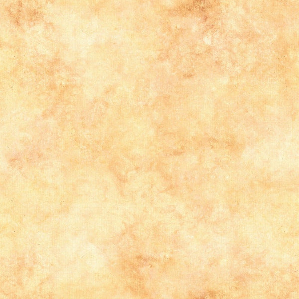 Summer Charm 19 Blender Fabric - Orange - ineedfabric.com