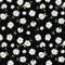 Tossed Daisies Fabric - Black - ineedfabric.com
