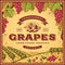 Traditional Organic Grapes Fabric Panel - ineedfabric.com