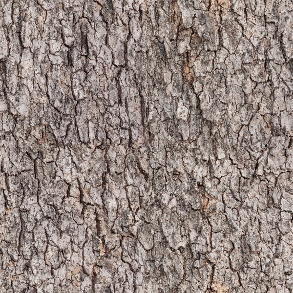 Tree Bark Fabric - ineedfabric.com